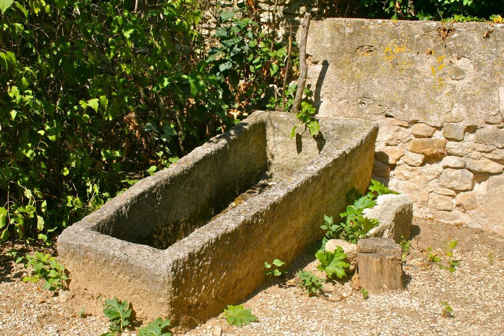 L'un des sarcophages mis à jour par les fouilles